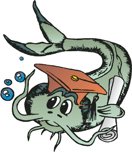 St. Johns Catfish Festival Applications